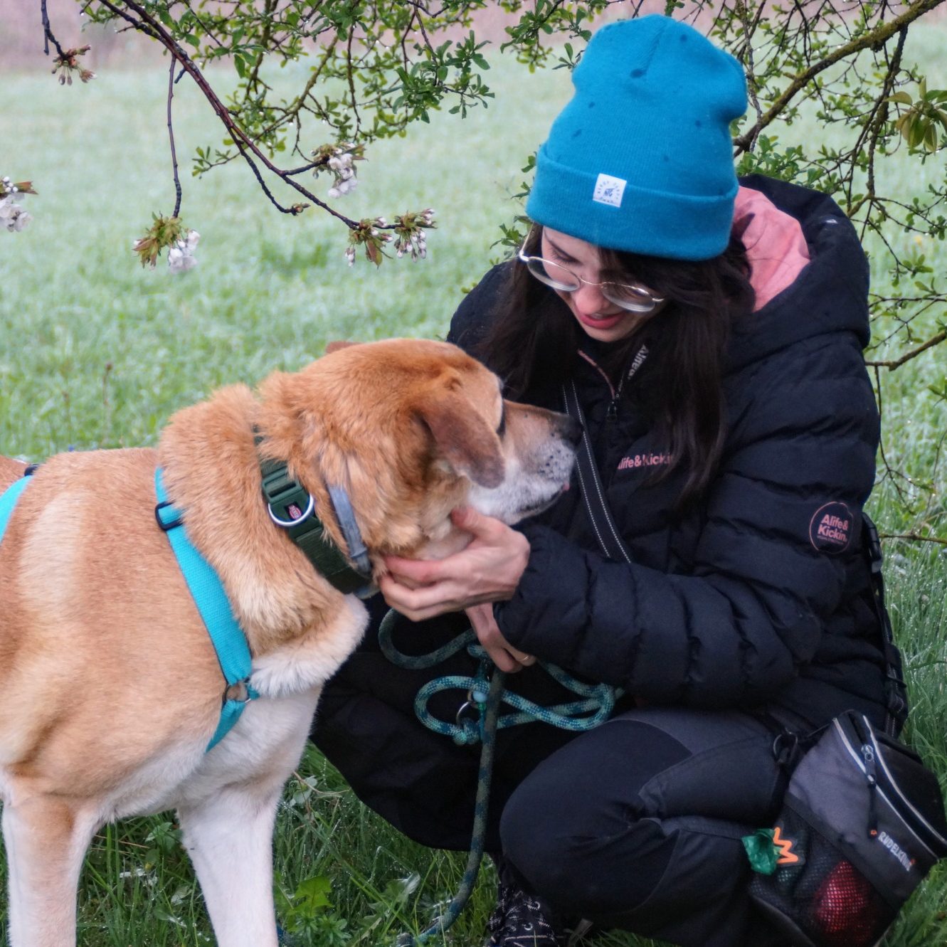 Hundetrainer Münsingen