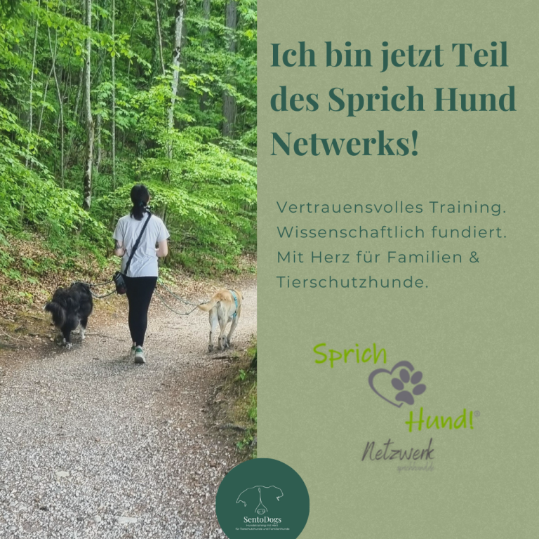 Sprich Hund Netzwerk