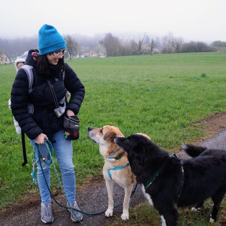 Hund und Kind Münsingen