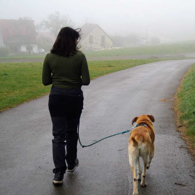 Hundeschule Münsingen